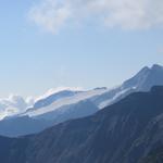 die Sicht reicht bis zu den Lepontinischen Alpen mit dem Basòdino Gletscher