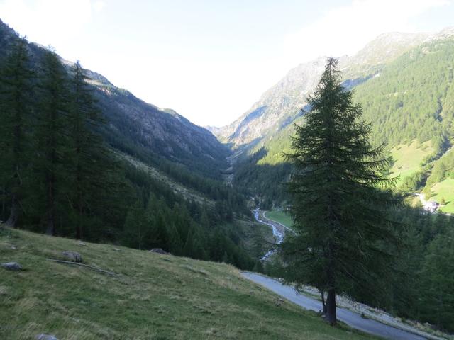 Blick Richtung Talende des Zwischbergental