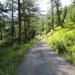 bei Punkt 1684 m.ü.M. erreichen wir die Alpstrasse...