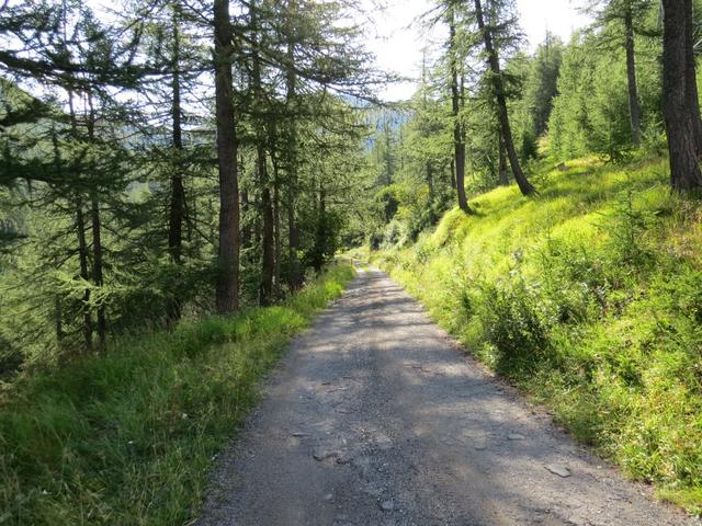 bei Punkt 1684 m.ü.M. erreichen wir die Alpstrasse...