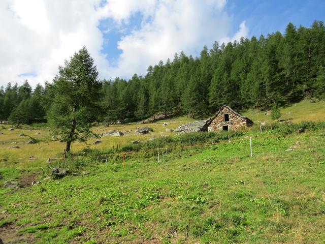 ...erreichen wir die Waira Alp 1847 m.ü.M.