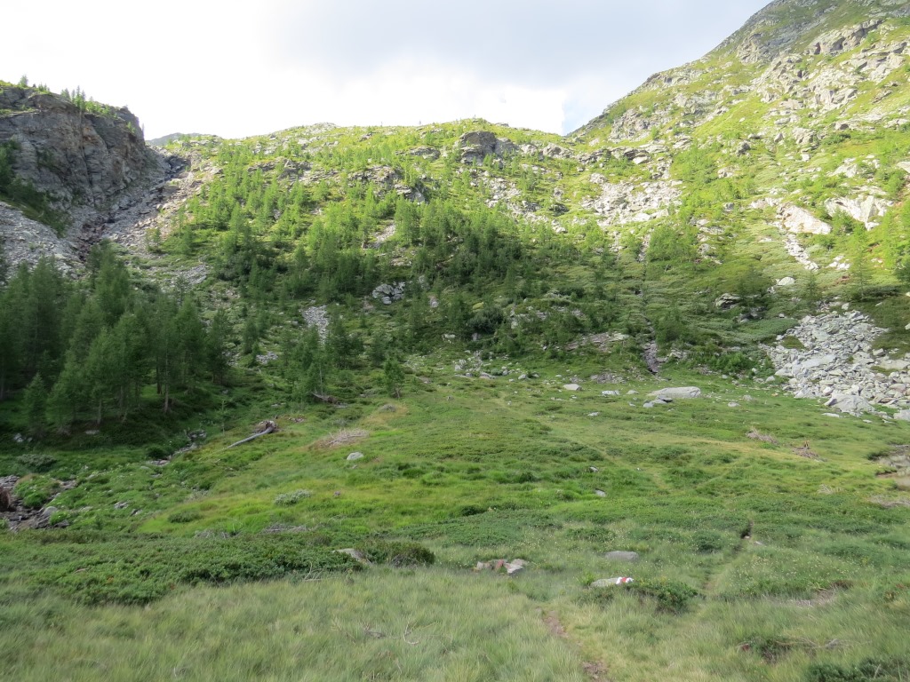 Blick hinauf zur Geländestufe wo sich dahinter der Tschawinersee verbirgt