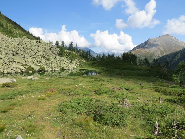 Blick zurück zum kleinen Wairasee