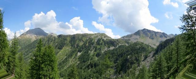 schönes Breitbildfoto links das Seehorn, rechts der Camoscellahorn