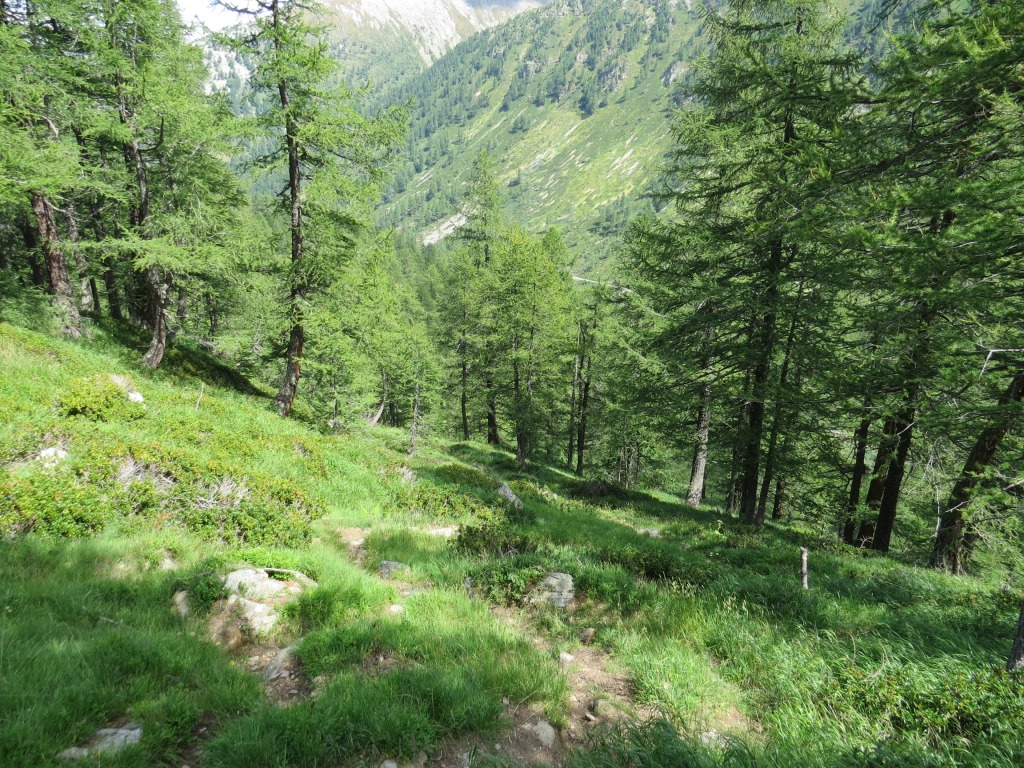 charakteristisch für das einsame Bergtal sind die ausgedehnten, prächtigen und wenig genutzten Mischwälder