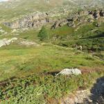 bald verlassen wir die alte Passroute vom Stockalperweg nach rechts...