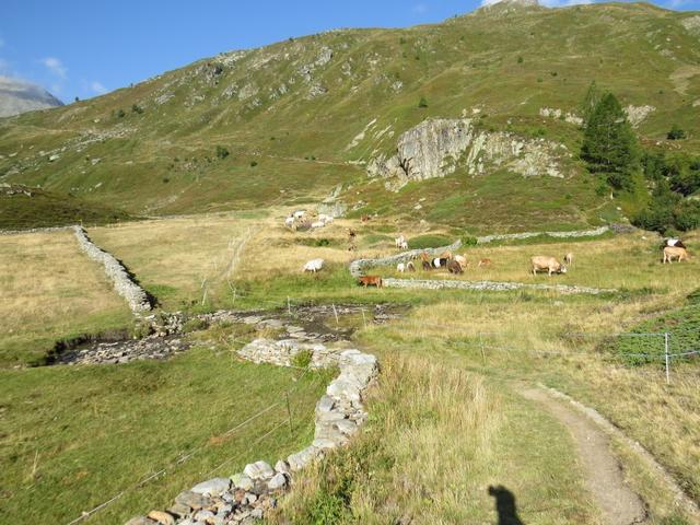 der Wanderweg steigt nun an und wir erreichen die Weggabelung bei Punkt 1923 m.ü.M.