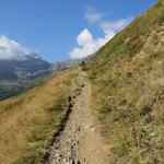 wir biegen links ab und wandern über einen breiten Wanderweg weiterhin aufwärts