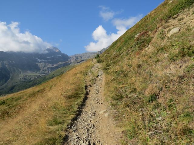 wir biegen links ab und wandern über einen breiten Wanderweg weiterhin aufwärts