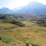 Blick zurück Richtung Bergalp und Simplonpass