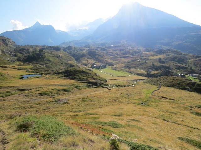 Blick zurück Richtung Bergalp und Simplonpass