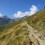 der Wanderweg schneidet einen steilen Hang 2033 m.ü.M...