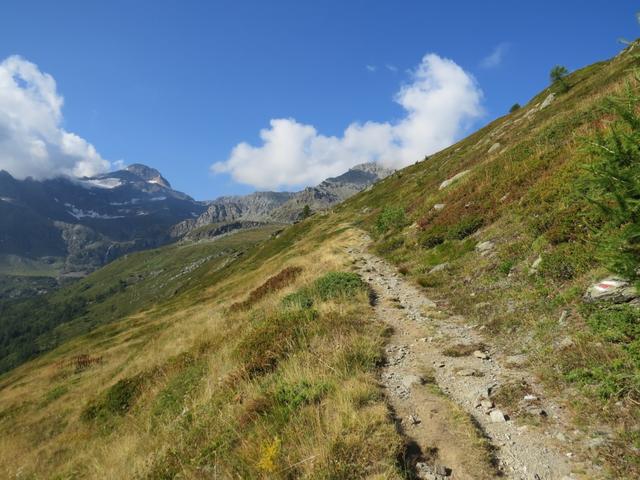 der Wanderweg schneidet einen steilen Hang 2033 m.ü.M...