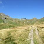 ...und mündet danach in das weitläufige Alpgebiet unter dem Bistinepass