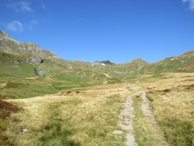 ...und mündet danach in das weitläufige Alpgebiet unter dem Bistinepass