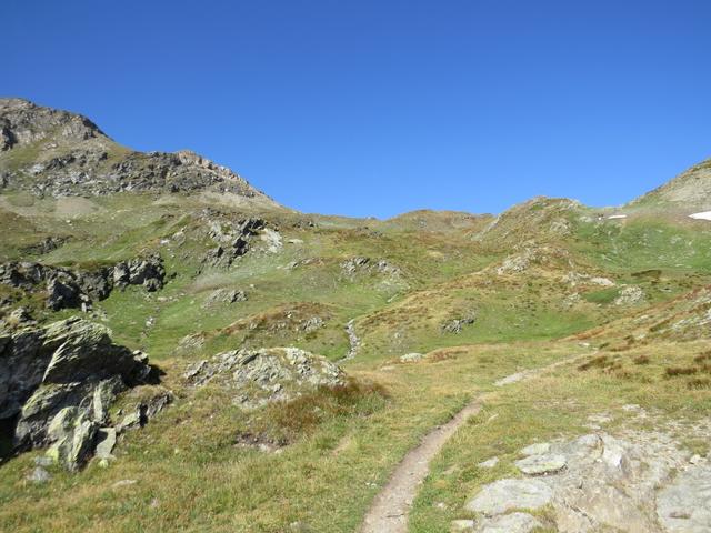 ...durchqueren wir die grosse Alp Bistine