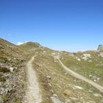 wir erreichen den Bistinepass 2417 m.ü.M.