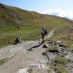 meine Maus auf dem Bistinepass