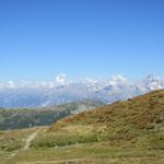 Blick über das Rhonetal in die Walliser- und Berner Hochalpen