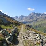 der Bergweg führt uns nun westlich um das Magenhorn herum