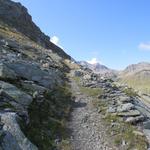 der Bergweg quert, nun allmählich an Höhe gewinnend,...