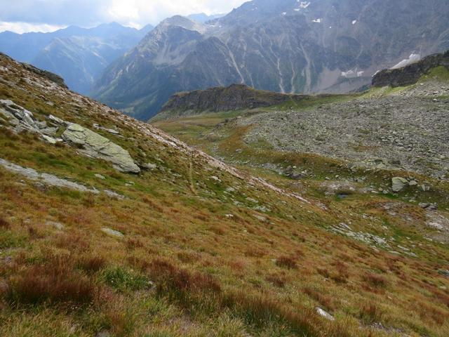 der Wanderweg biegt rechts ab zur Alp Wysse Bode