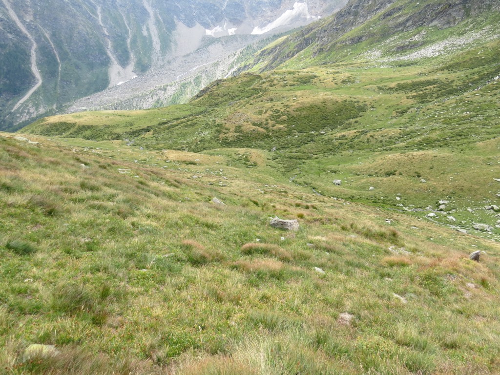 dahinter führt der Weg im Zickzack über die Wiesenhänge von Furgghalte steil hinunter