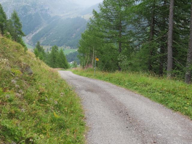 bei Punkt 1749 m.ü.M. überqueren wir zum vierten mal die Strasse...