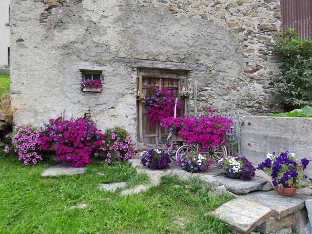 schöne Blumentöpfe schmücken die Fassaden der Häuser in Simplon Dorf
