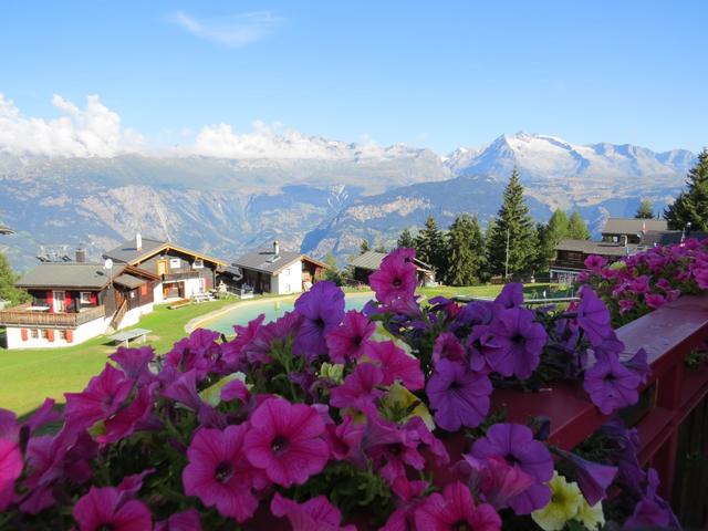 ...und die Rundsicht von der Terrasse aus