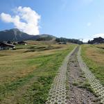 reizvoller ist jedoch der knapp oberhalb parallel verlaufende Weg entlang der Gibjeri Suone