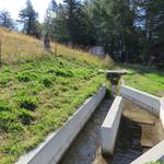 auf ca. 1940 m.ü.M. bei der Wasserfassung der Gibjeri Suone...