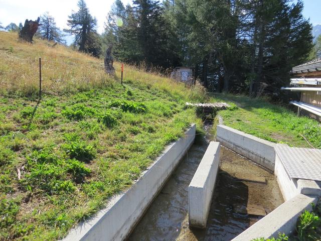 auf ca. 1940 m.ü.M. bei der Wasserfassung der Gibjeri Suone...