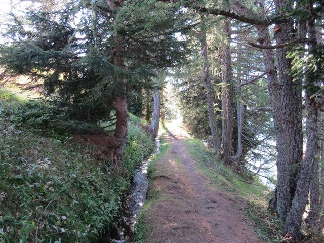 ...halten wir uns rechts und folgen einen angenehm zu gehenden Wanderweg