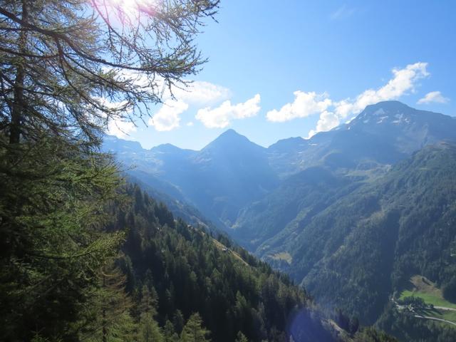 Blick in das Talende des Gantertal und zum Bortelhorn