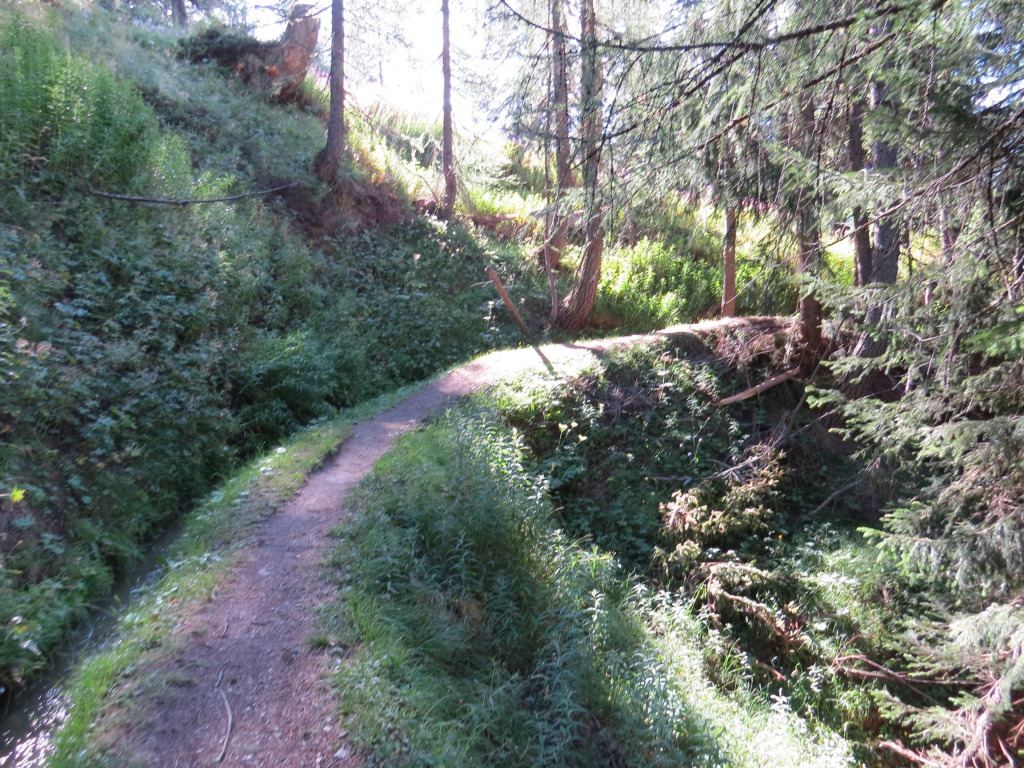 der sehr schön angelegte Wanderweg durchschneidet mit seinen vielen Kurven nahezu horizontal...