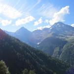 Blick zum Furggubäumhorn und Wasenhorn