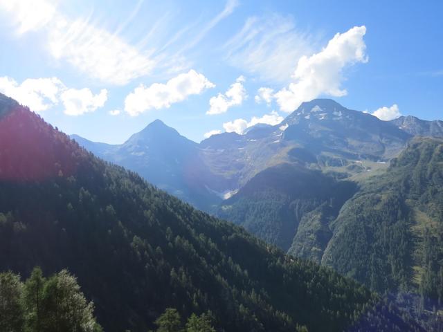 Blick zum Furggubäumhorn und Wasenhorn