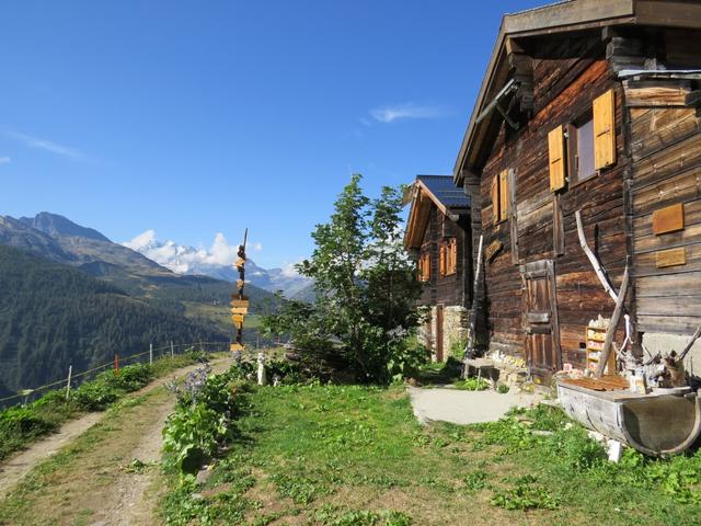 die Alpsiedlung zeigt ein idylisches Bild: friedlich liegen die Sennhütten in der Sonne