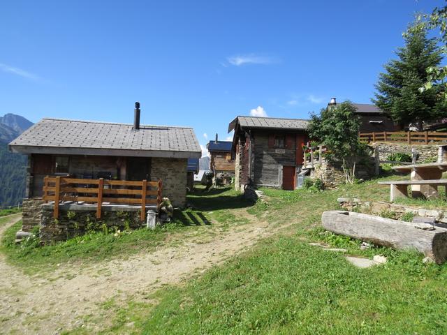 auf der Alp Stafel wählen wir den Pfad, der vorerst weiter geradeaus Richtung Norden führt