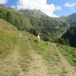 wir erreichen eine Weggabelung, links geht es zur Saflischmatte. Wir wandern weiter geradeaus