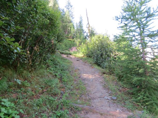 nachdem wir den Bergbach überquert haben, wandern wir auf der anderen Seite des Grabens wieder bergan