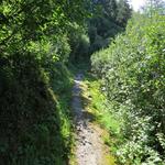 wie eingeplant nehmen wir den rechts abbiegenden Wanderweg unter die Füsse. Kurze Zeit später stossen wir auf die Gibjeri Suon