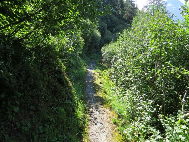 wie eingeplant nehmen wir den rechts abbiegenden Wanderweg unter die Füsse. Kurze Zeit später stossen wir auf die Gibjeri Suon