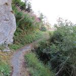 die Gibjeri Suone beginnt auf einer Höhe von 1940 m im Steinbachtal...