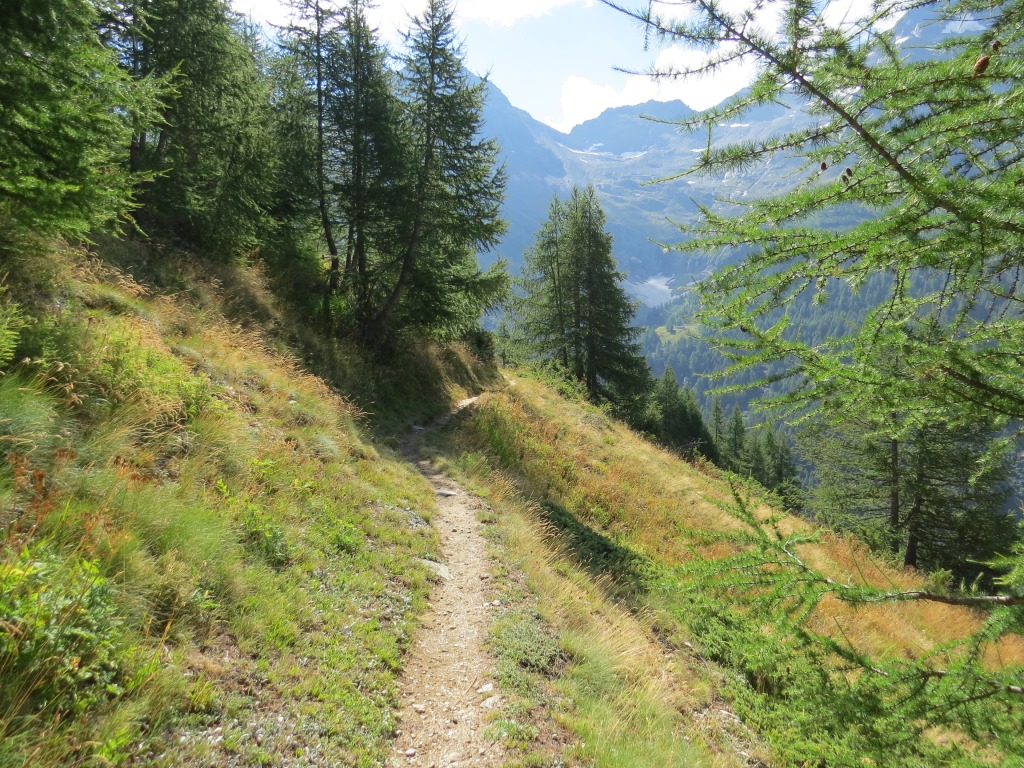 der Simplon-Höhenweg ist sehr schön und empfehlenswert