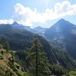 Blick zum Bortelhorn und Furggubäumhorn