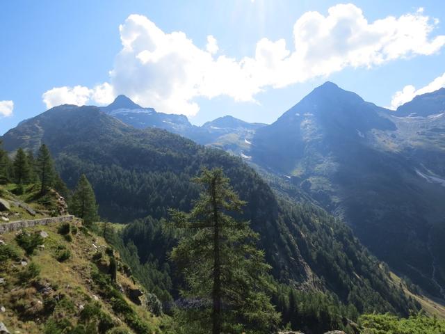 Blick zum Bortelhorn und Furggubäumhorn