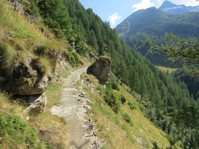 ...wandern wir weiter auf der betonierten Gibjeri Suone