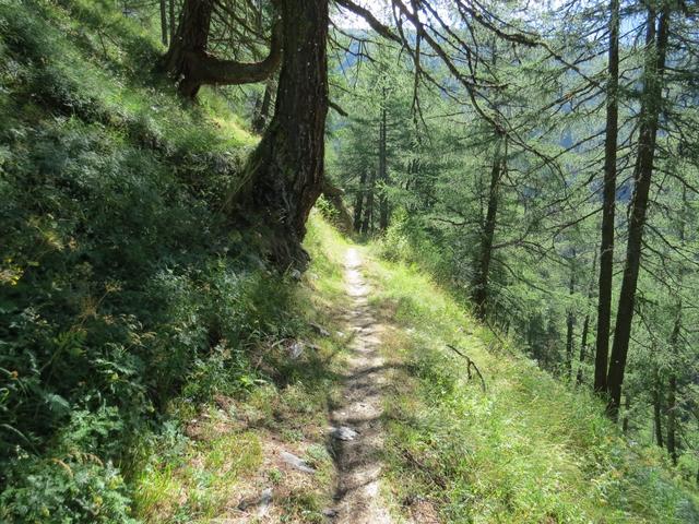 über einen angenehmen Wanderweg laufen wir den weiten Bogen auf der Südseite aus...